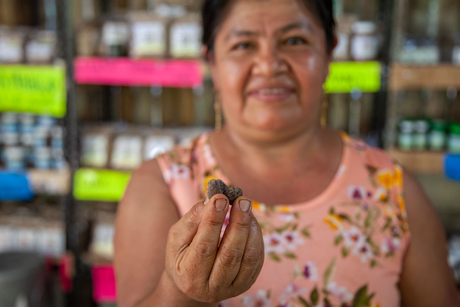 Tours a Las Fincas Cafetaleras, Oaxaca, México