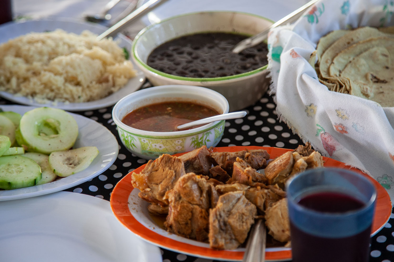 Paquetes de viaje a Las Fincas Cafetaleras