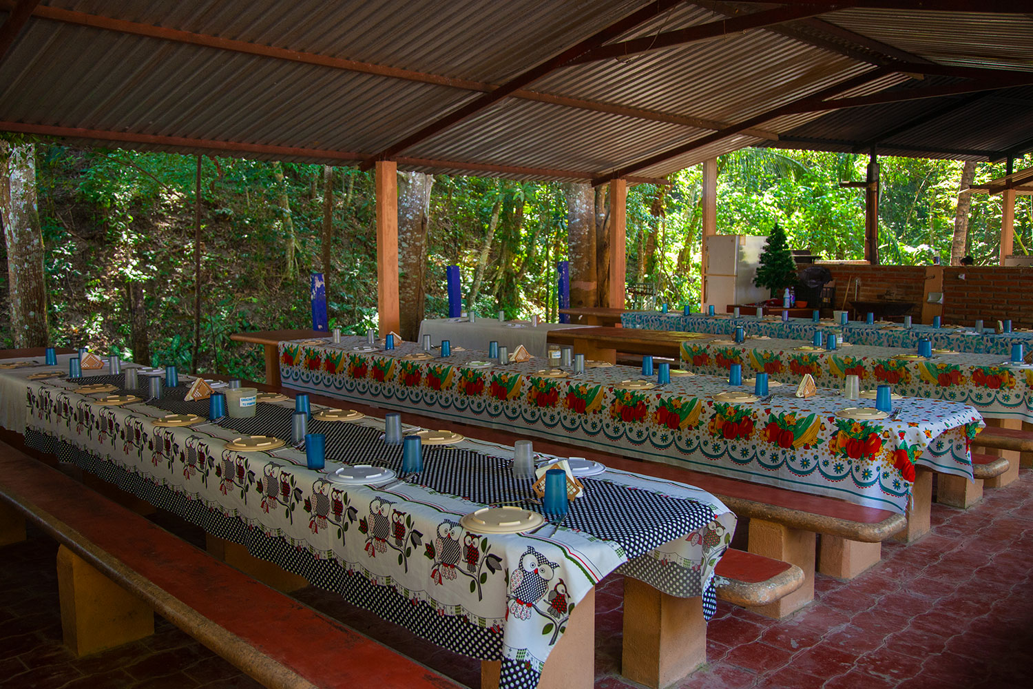 Tours a Las Fincas Cafetaleras Huatulco al mejor precio