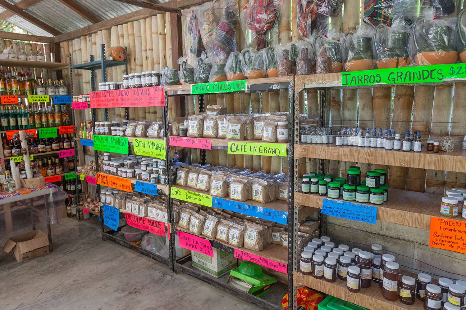 Tours y Expediciones en Las Fincas Cafetaleras